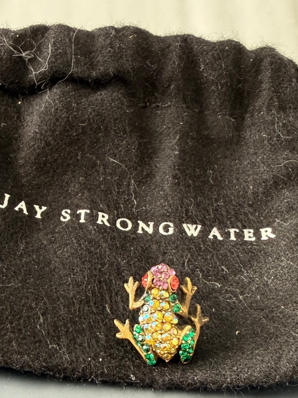 Jay Strongwater Frog Pin